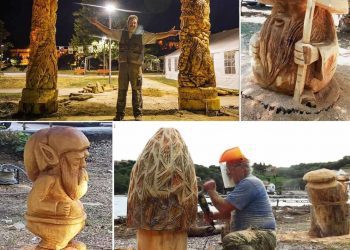 Μανιταρογλυπτική στα Γρεβενά από 18 έως 21 Αυγούστου – Ένα πρωτότυπο καλλιτεχνικό φεστιβάλ Δήμου και Μανιταρόφιλων με ελεύθερη είσοδο