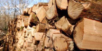 Παράσταση Διαμαρτυρίας για το θέμα της Θέρμανσης στη Δασική Υπηρεσία Γρεβενών στις 12/10