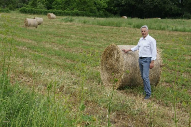 Η ανάκαμψη του Πρωτογενούς Τομέα είναι μονόδρομος
