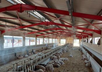 Περιφερειακή Ενότητα Γρεβενών: Δελτίο Τύπου για Διατήρηση Σταβλικών Εγκαταστάσεων