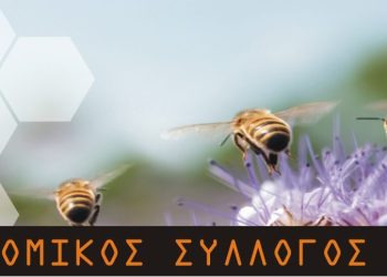 Μελισσοκομικός Σύλλογος Γρεβενών: Συνέλευση τη Δευτέρα 27 Φεβρουαρίου στο εργατικό κέντρο
