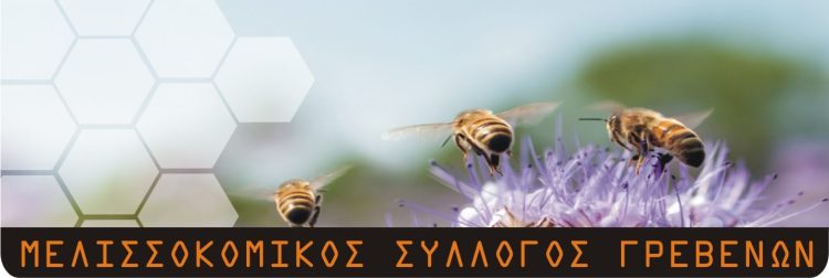 Μελισσοκομικός Σύλλογος Γρεβενών: Συνέλευση τη Δευτέρα 27 Φεβρουαρίου στο εργατικό κέντρο