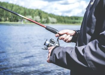 Απαγόρευση αλιείας της Καραβίδας στα εσωτερικά νερά, λόγω αναπαραγωγής τους