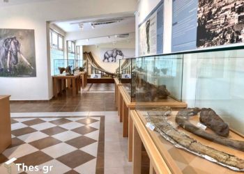 Ξενάγηση στο Μουσείο Φυσικής Ιστορίας στη Μηλιά Γρεβενών (Βιντεο&Φωτογραφίες)