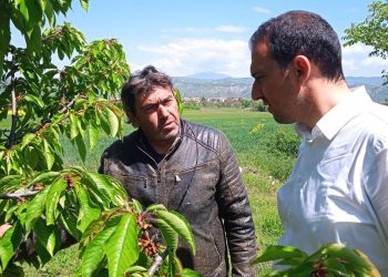 Επίσκεψη του Ιωάννη Γ. Στούπα Υποψήφιο Βουλευτή Ν. Γρεβενών ΠΑΣΟΚ – ΚΙΝΑΛ στον κάμπο του Καρπερού-Δήμητρας