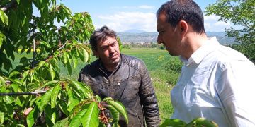 Επίσκεψη του Ιωάννη Γ. Στούπα Υποψήφιο Βουλευτή Ν. Γρεβενών ΠΑΣΟΚ – ΚΙΝΑΛ στον κάμπο του Καρπερού-Δήμητρας