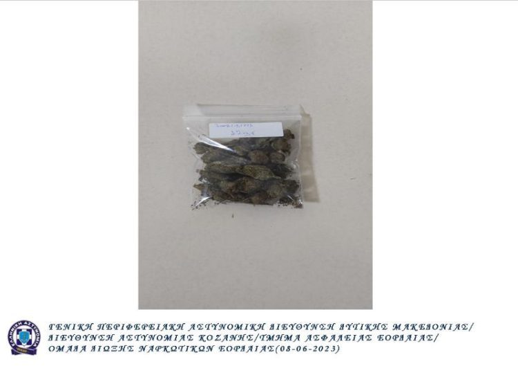 Συνελήφθη 33χρονος ημεδαπός στην Πτολεμαΐδα