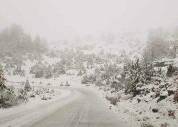 ΑΝΑΚΟΙΝΩΣΗ ΑΠΟ ΤΗΝ ΠΕΡΙΦΕΡΕΙΑΚΗ ΔΙΕΥΘΥΝΣΗ ΔΥΤΙΚΗΣ ΜΑΚΕΔΟΝΙΑΣ