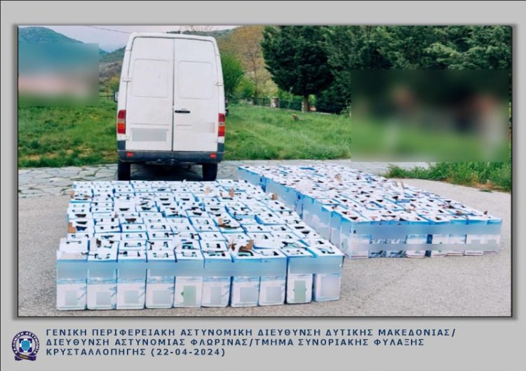 Συνελήφθη 29χρονος αλλοδαπός σε περιοχή της Φλώρινας, για παράνομη μεταφορά 242φιαλών που περιείχαν ψυκτικό υγρό (φρέον)