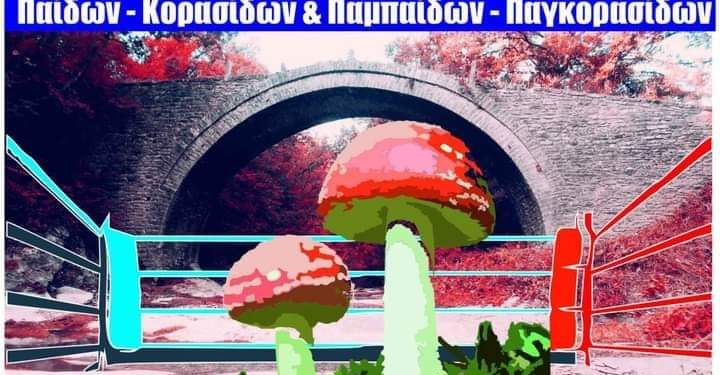 Στα Γρεβενά θα χτυπήσει η καρδιά της Ελληνικής Πυγμαχίας