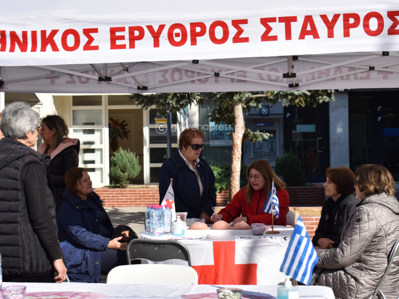 Ελληνικός Ερυθρός Σταυρός