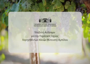 «Καθορισμός λεπτομερειών εφαρμογής του Καν (ΕΕ) 2024/2146 για τον αμπελοοινικό τομέα- Παράταση ισχύος χορηγηθέντων αδειών φύτευσης»