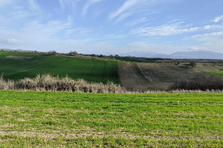 Δ/νση Αγροτικής Οικονομίας ΠΕ Γρεβενών:«Εφαρμογή της μεθόδου παρεμπόδισης σύζευξης των εντομολογικών εχθρών των καλλιεργειών (ΚΟΜΦΟΥΖΙΟ)»