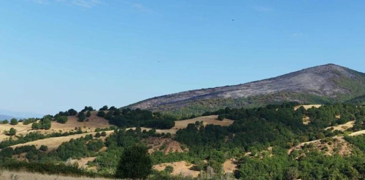 Βελτιωμένη εικόνα στη Σκαλα Δεσκάτης – Οριοθετείται και το ανατολικό μέτωπο της πυρκαγιάς