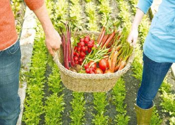 Ενισχύονται 177 επενδυτικά σχέδια του καθεστώτος της Αγροδιατροφής-9 στη Δυτική Μακεδονία