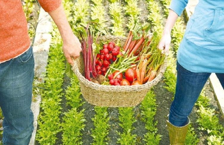 Ενισχύονται 177 επενδυτικά σχέδια του καθεστώτος της Αγροδιατροφής-9 στη Δυτική Μακεδονία