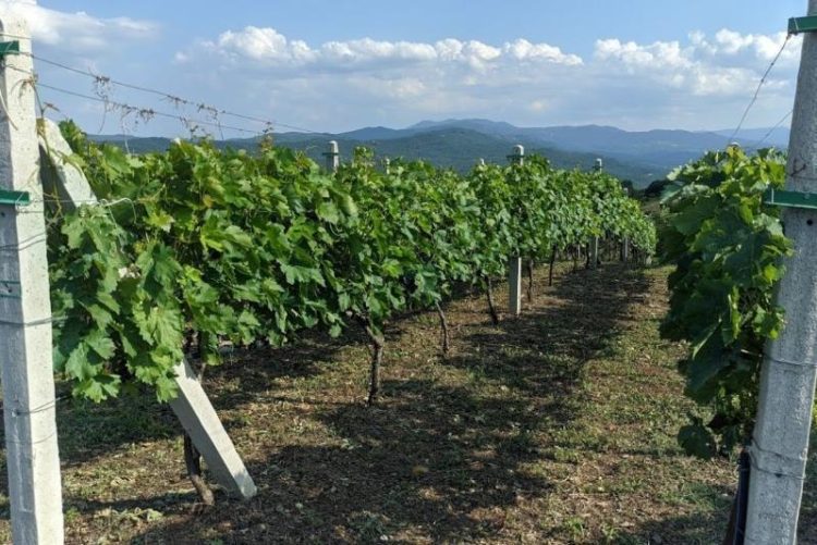 ΗΛΕΚΤΡΟΝΙΚΗ ΥΠΟΒΟΛΗ ΔΗΛΩΣΗΣ ΣΥΓΚΟΜΙΔΗΣ ΕΤΟΥΣ 2025