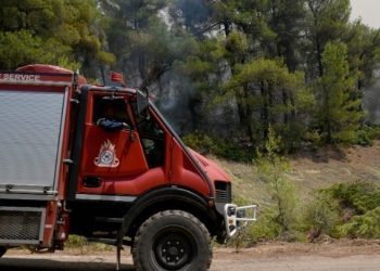 Διευκρινήσεις σχετικά με τις ενέργειες, δραστηριότητες και εργασίες στην ύπαιθρο κατά τη χειμερινή περίοδο