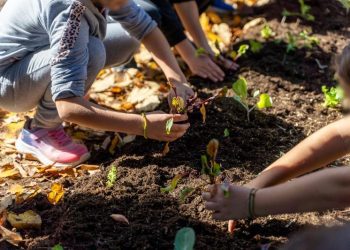 Carbon Farming Schools 2025: ΔΕΗ και Open Farm προωθούν τη βιώσιμη γεωργία στους μαθητές