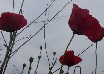 Σάκης Αρναούτογλου: Πρωτομαγιά με κρύο, βοριάδες και βροχές – Άστατος καιρός τώρα, με πιο θερμή προοπτική προς τα τέλη της επόμενης εβδομάδας