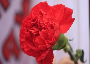 Πρωτομαγιά 1886 – Πρωτομαγιά 2026: 140 χρόνια!