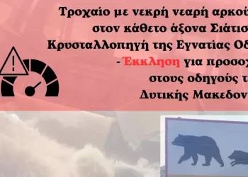 Τροχαίο με νεκρή νεαρή αρκούδα στον κάθετο άξονα Σιάτιστα-Κρυσταλλοπηγή της Εγνατίας Οδού