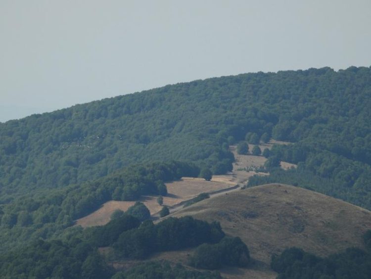 Ιστορική θεσμική εξέλιξη για το όρος Βέρνον–Βίτσι, αποκτά καθεστώς «Προστατευόμενου Τοπίου»