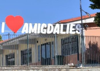 100 ΧΡΟΝΙΑ ΑΜΥΓΔΑΛΙΕΣ