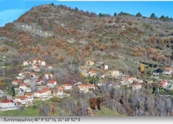ΚΑΤΑΓΓΕΛΙΑ – ΔΙΑΜΑΡΤΥΡΙΑ 