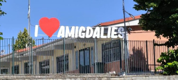 ΠΡΟΓΡΑΜΜΑ ΔΡΑΣΗΣ ΠΟΛΙΤΙΣΤΙΚΟΥ ΣΥΛΛΟΓΟΥ ΑΜΥΓΔΑΛΙΩΝ ΓΙΑ ΤΟ 2027