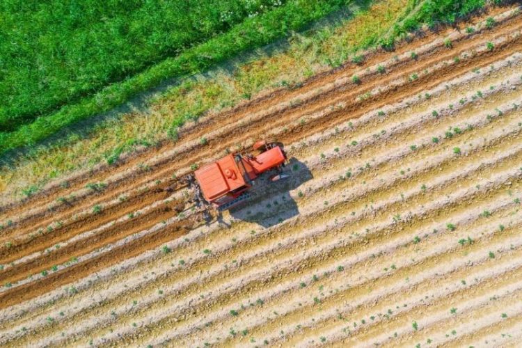 Aγροτικές επιδοτήσεις: Έως 25/09 οι αιτήσεις για την προκαταβολή του Οκτωβρίου, νέες βελτιώσεις στο myAGRO