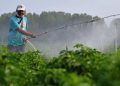 ΑΑΔΕ: Ενίσχυση 14,6 εκατ. ευρώ σε 34.200 δικαιούχους για το κόστος των λιπασμάτων