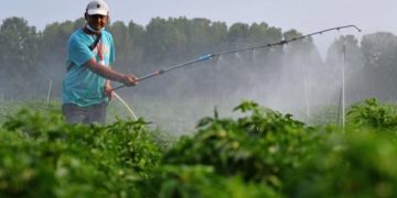 ΑΑΔΕ: Ενίσχυση 14,6 εκατ. ευρώ σε 34.200 δικαιούχους για το κόστος των λιπασμάτων