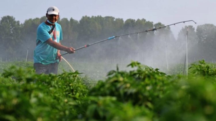 ΑΑΔΕ: Ενίσχυση 14,6 εκατ. ευρώ σε 34.200 δικαιούχους για το κόστος των λιπασμάτων